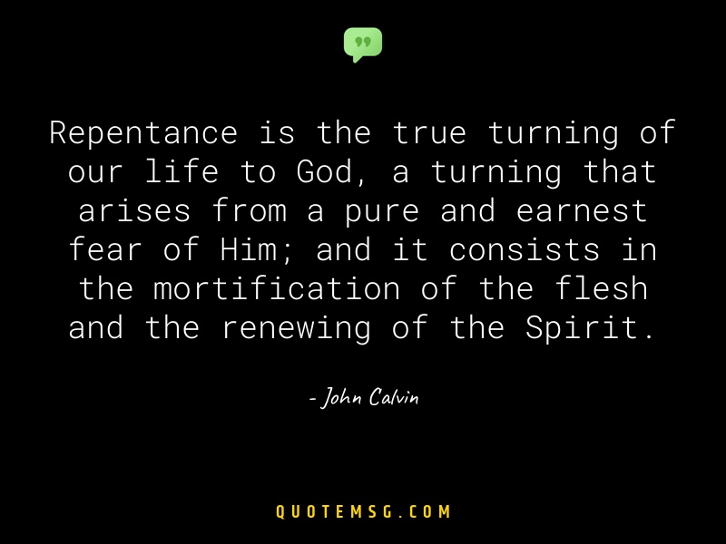 Image of John Calvin