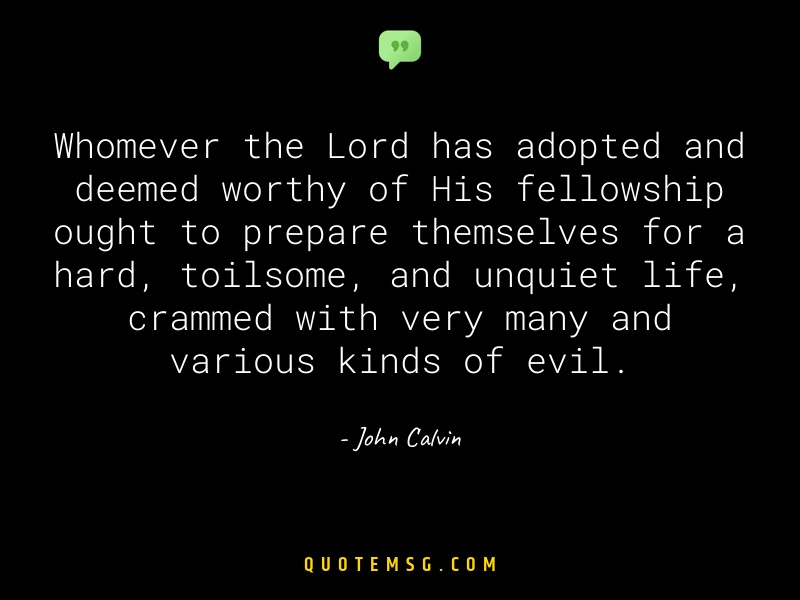 Image of John Calvin