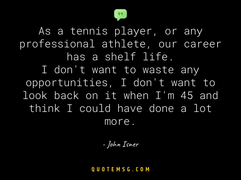 Image of John Isner