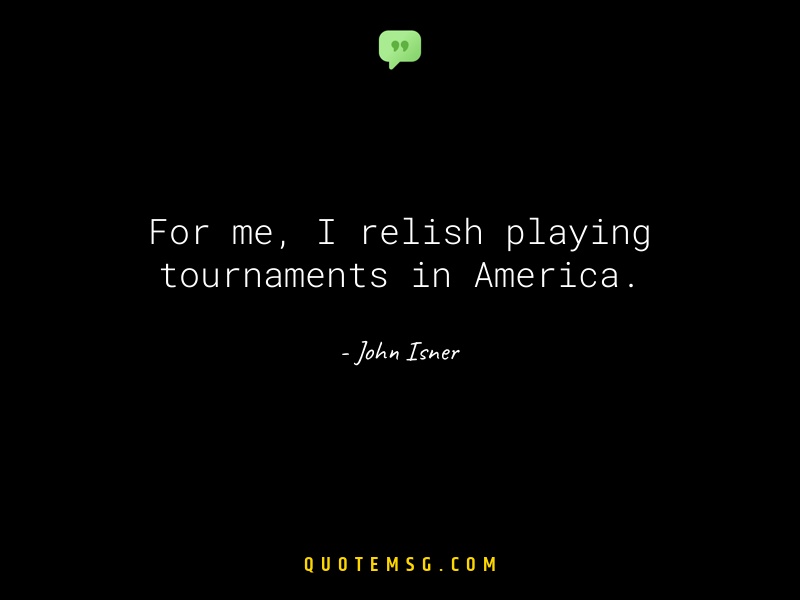 Image of John Isner