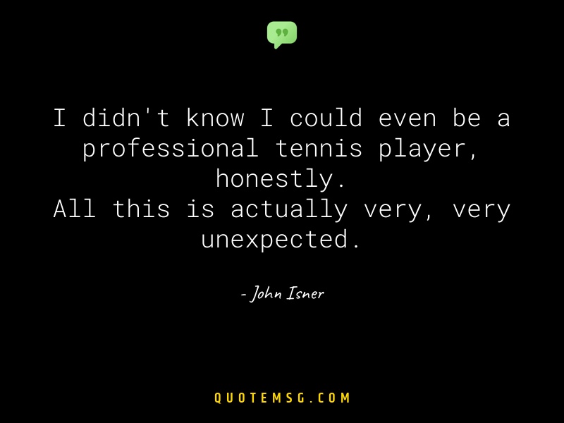 Image of John Isner