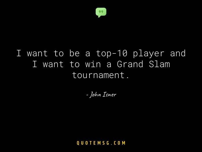 Image of John Isner