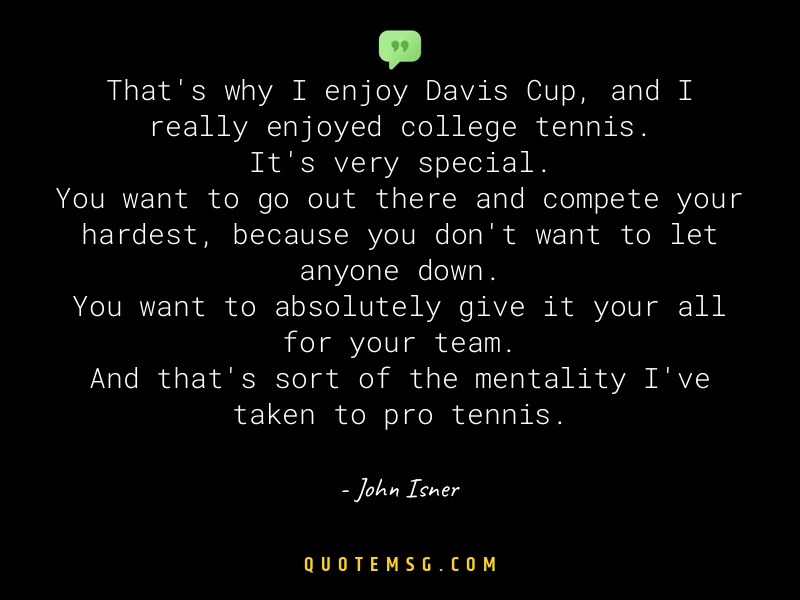 Image of John Isner