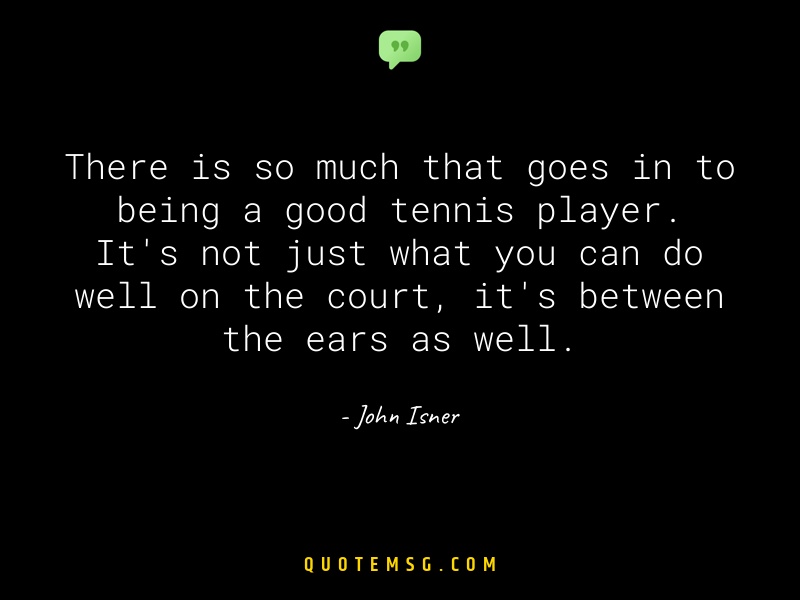 Image of John Isner