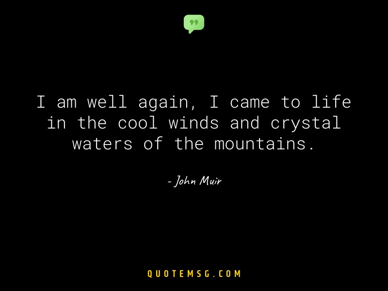 Image of John Muir