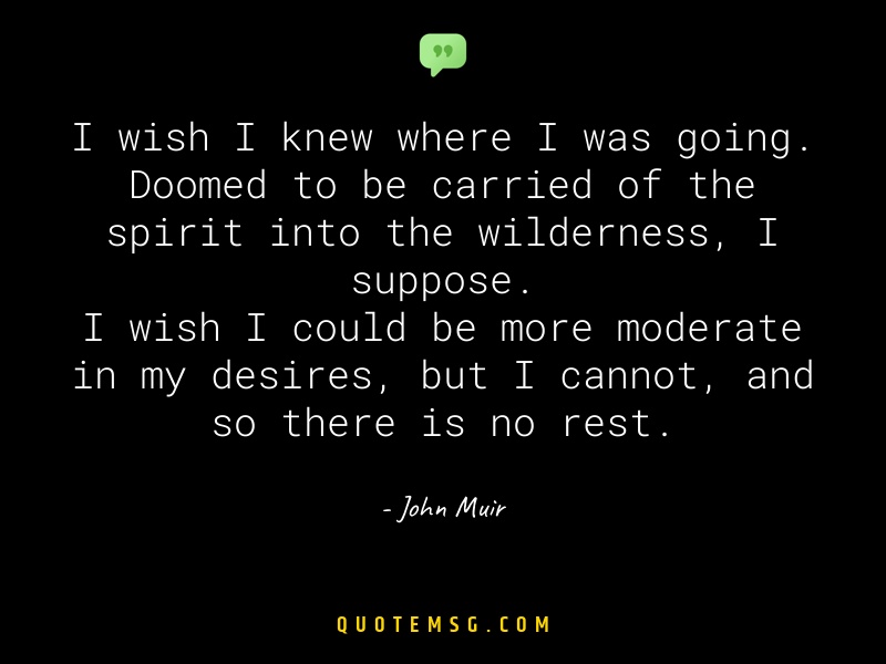 Image of John Muir