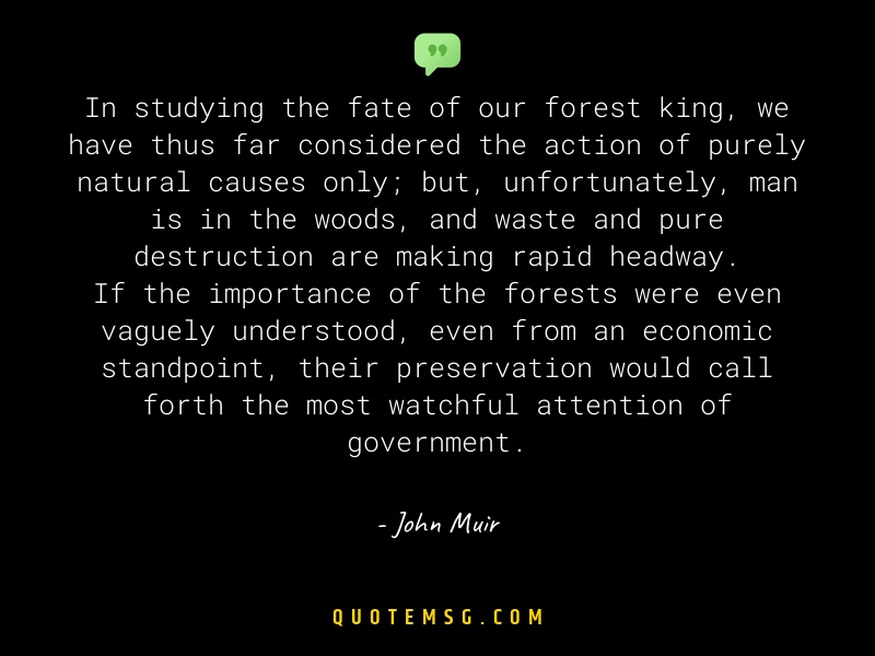 Image of John Muir