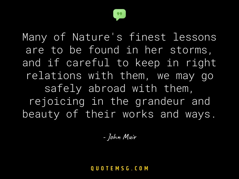 Image of John Muir