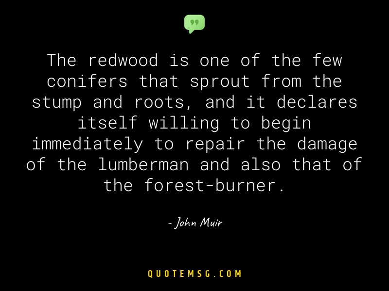 Image of John Muir