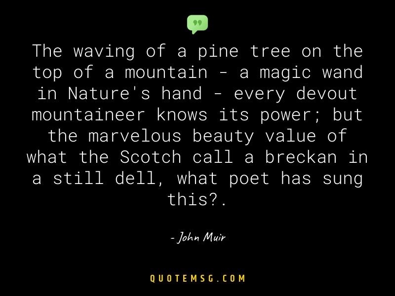 Image of John Muir