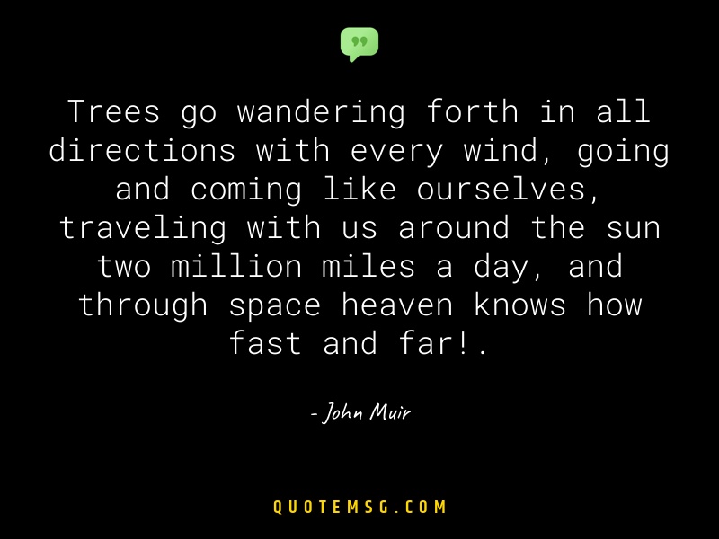 Image of John Muir