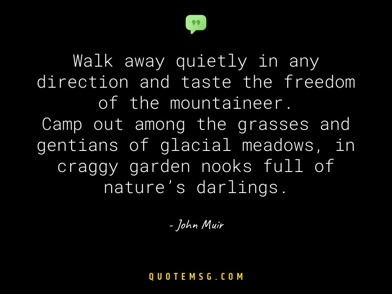 Image of John Muir