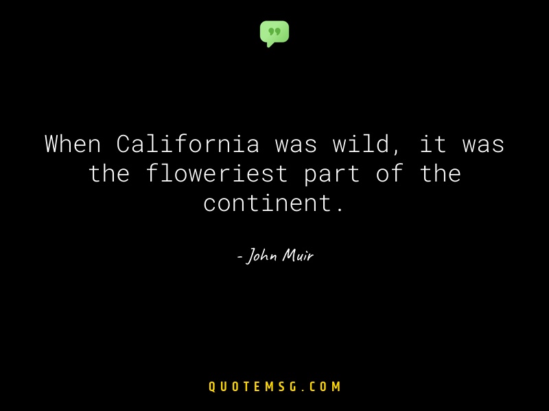 Image of John Muir