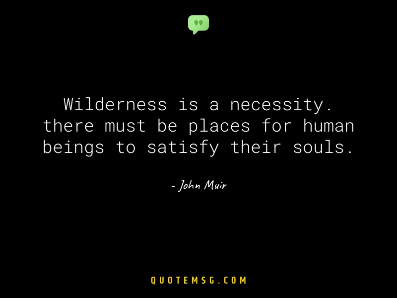 Image of John Muir