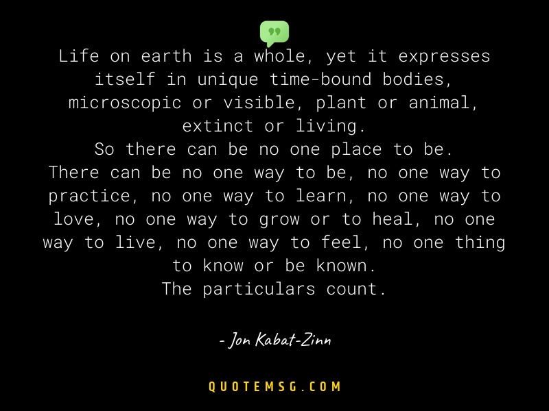 Image of Jon Kabat-Zinn