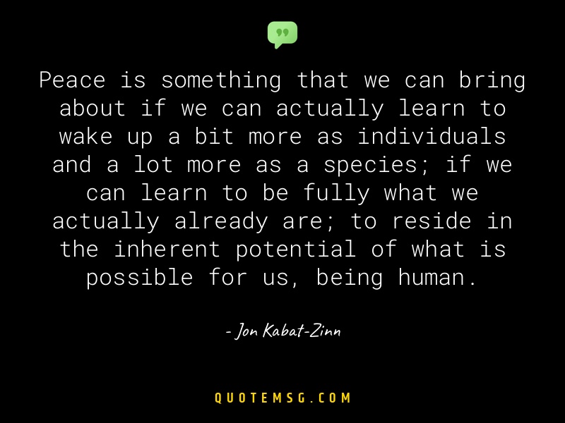 Image of Jon Kabat-Zinn