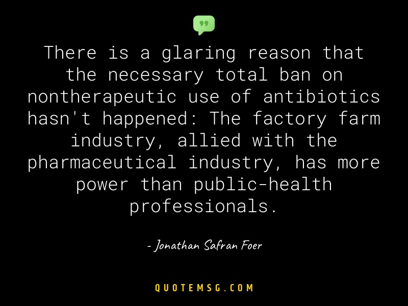 Image of Jonathan Safran Foer