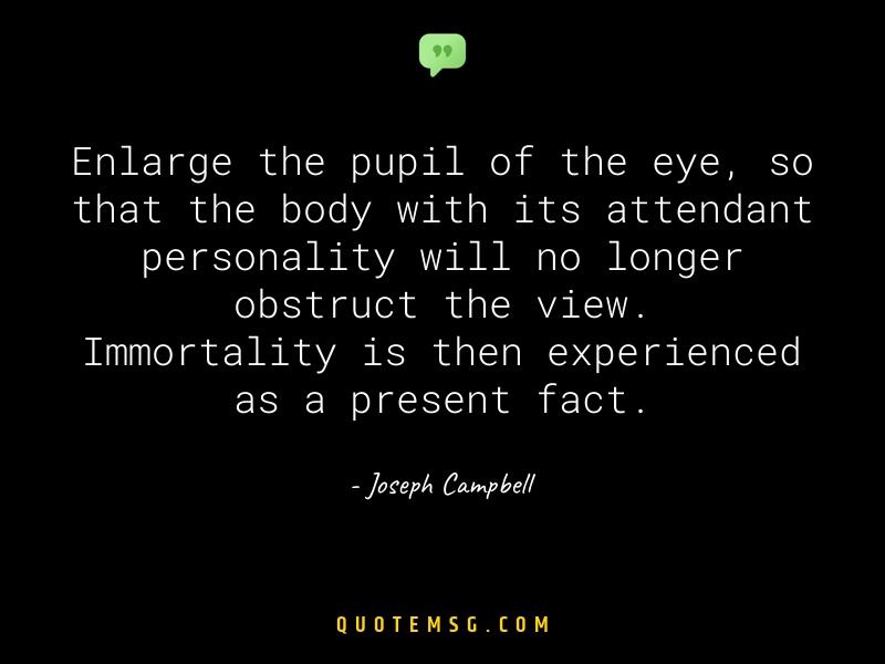 Image of Joseph Campbell