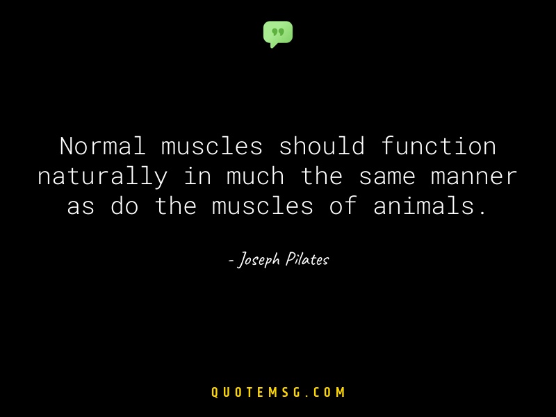 Image of Joseph Pilates