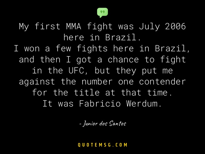 Image of Junior dos Santos