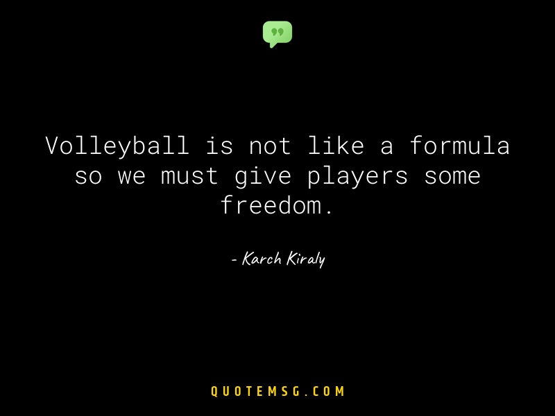 Image of Karch Kiraly