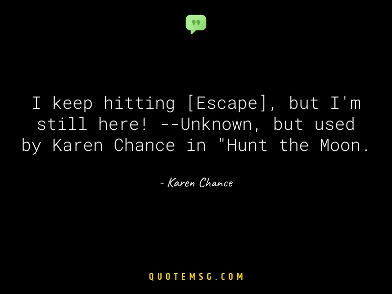 Image of Karen Chance