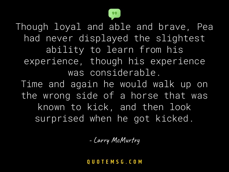 Image of Larry McMurtry