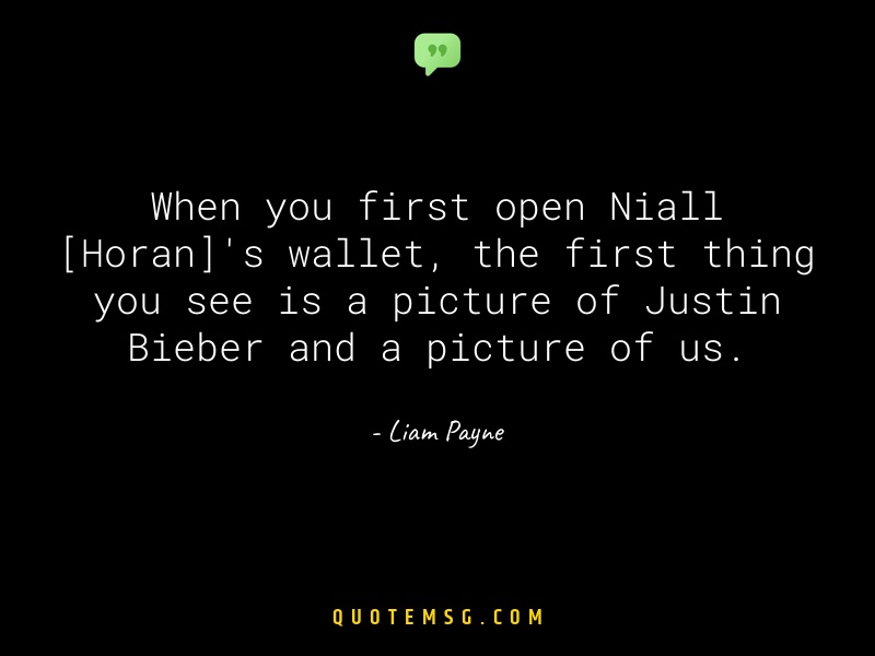 Image of Liam Payne