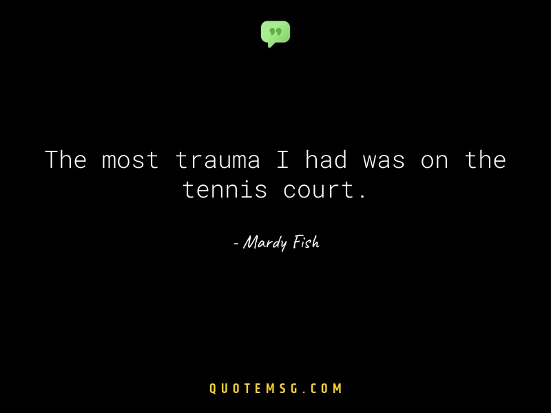 Image of Mardy Fish