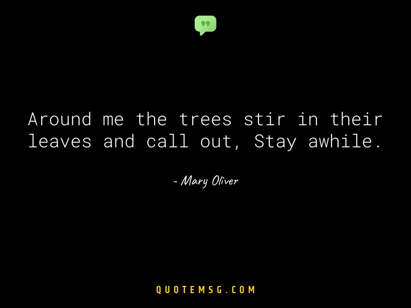 Image of Mary Oliver