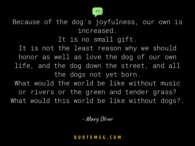 Image of Mary Oliver