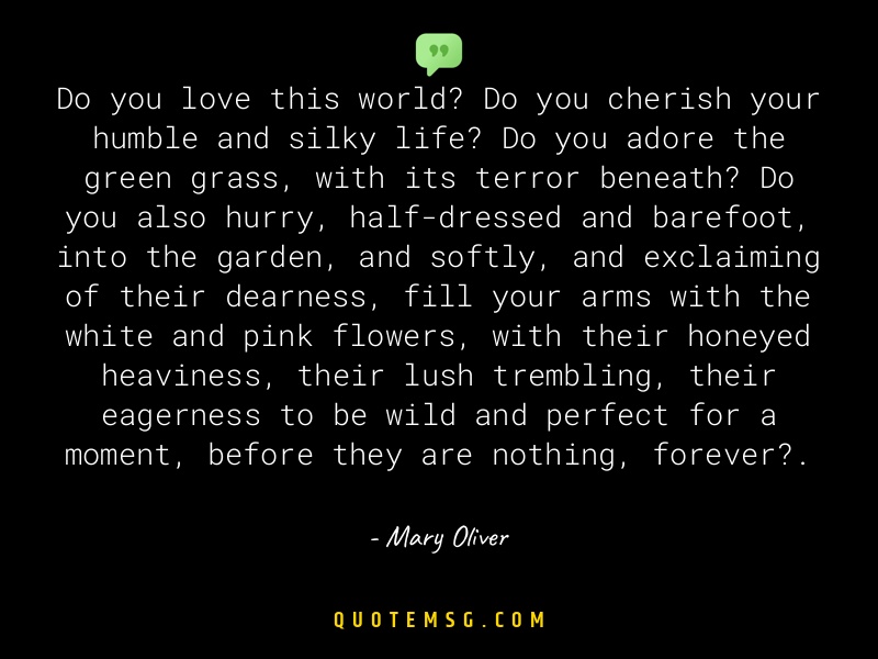 Image of Mary Oliver