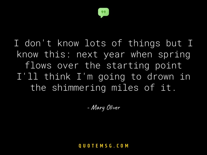 Image of Mary Oliver