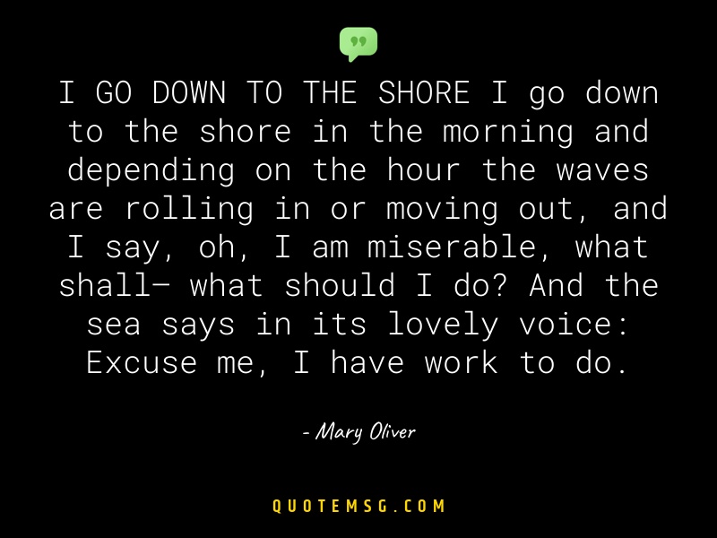 Image of Mary Oliver