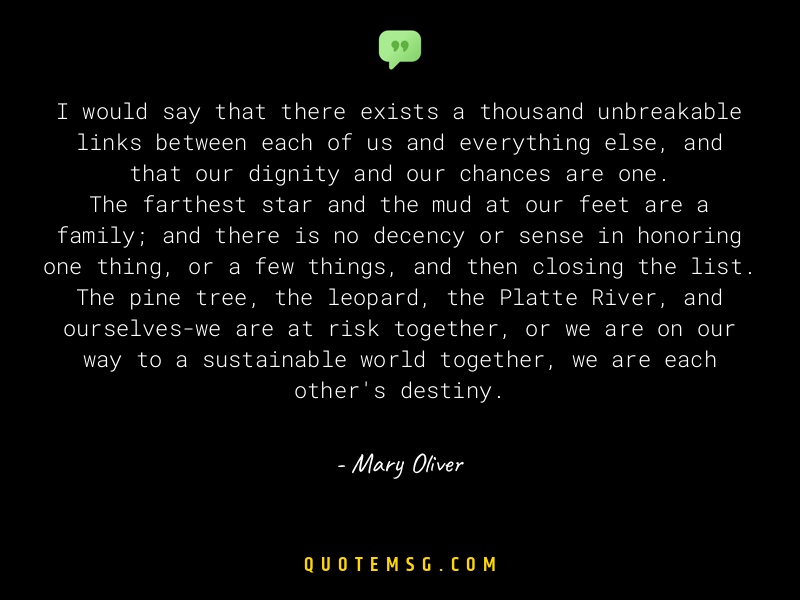 Image of Mary Oliver