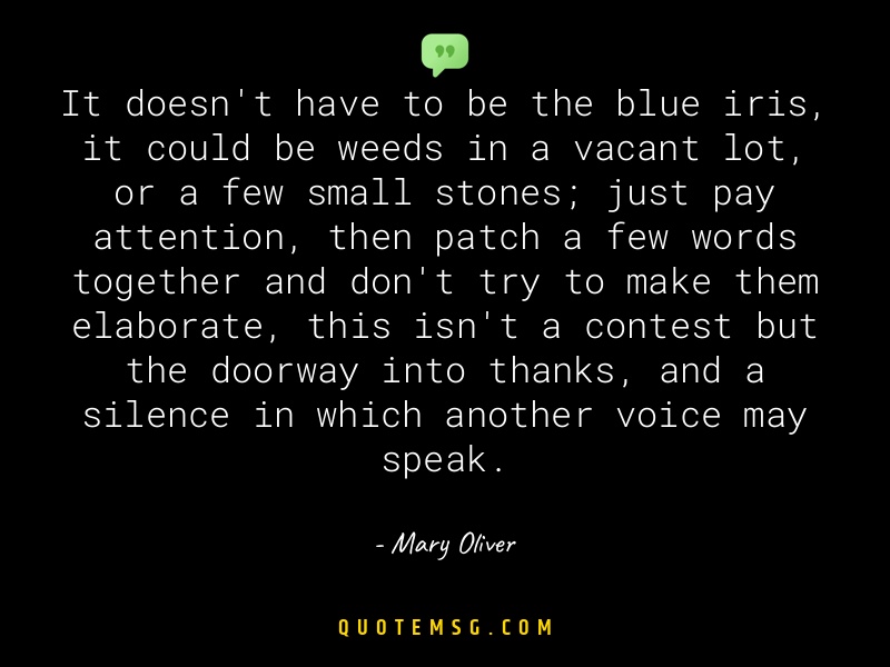 Image of Mary Oliver