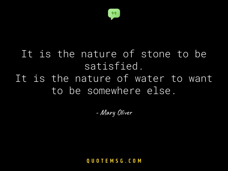 Image of Mary Oliver