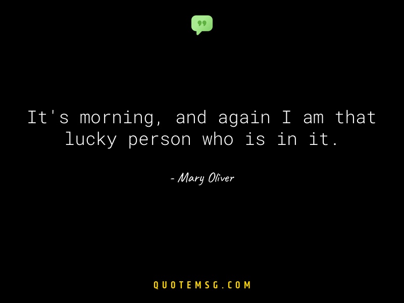 Image of Mary Oliver