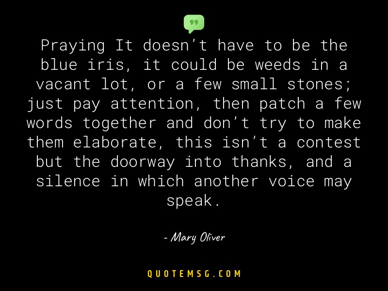 Image of Mary Oliver