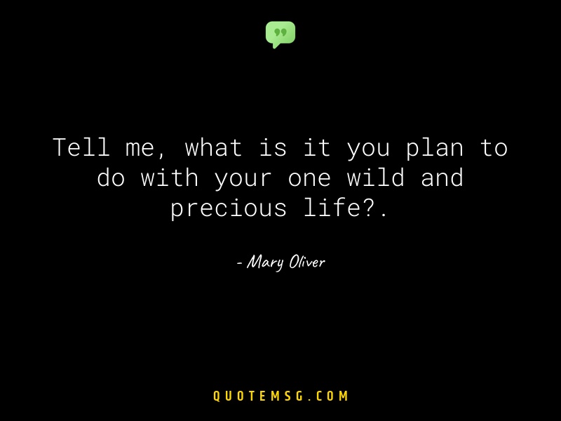 Image of Mary Oliver