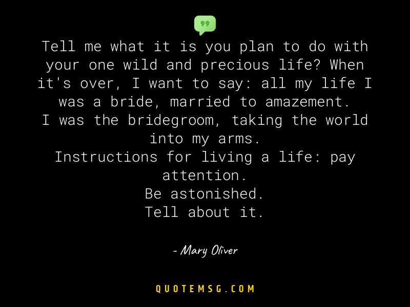 Image of Mary Oliver