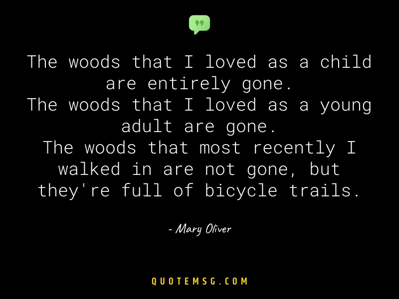 Image of Mary Oliver