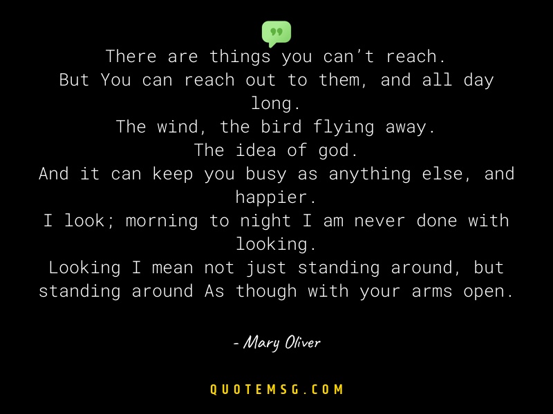 Image of Mary Oliver