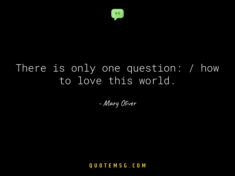 Image of Mary Oliver