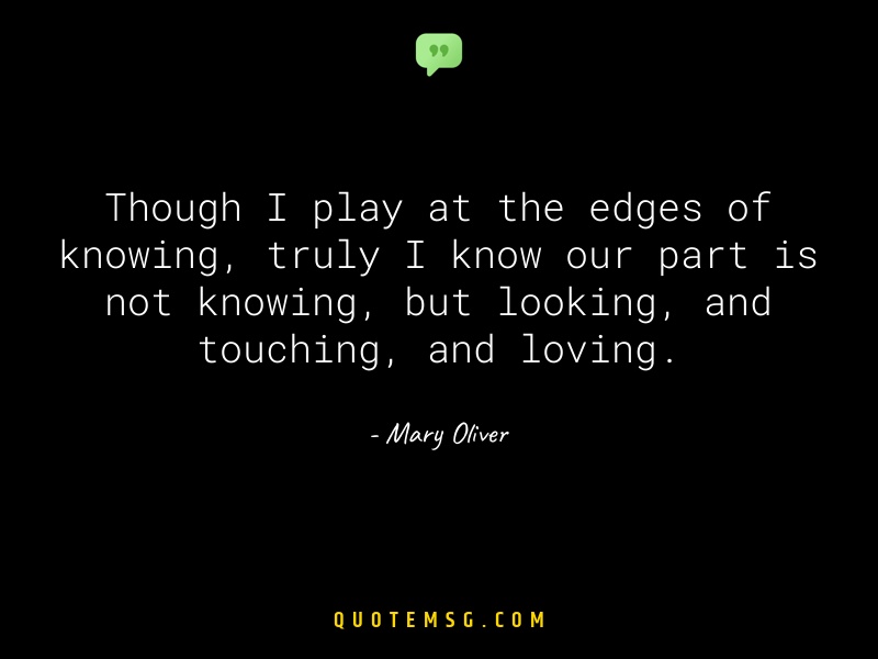 Image of Mary Oliver