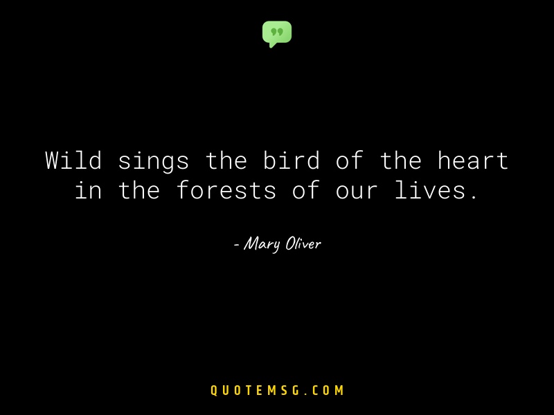 Image of Mary Oliver