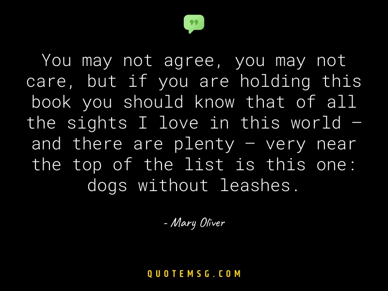 Image of Mary Oliver