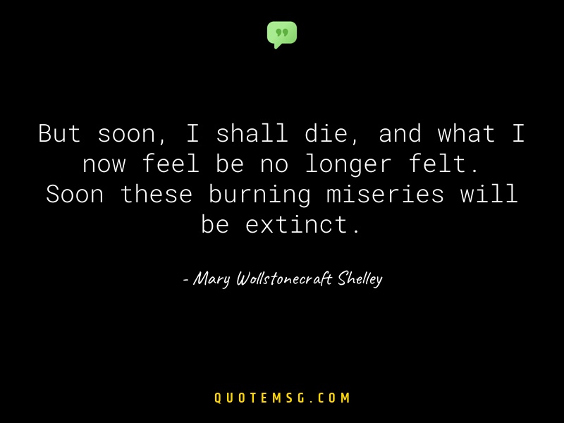 Image of Mary Wollstonecraft Shelley