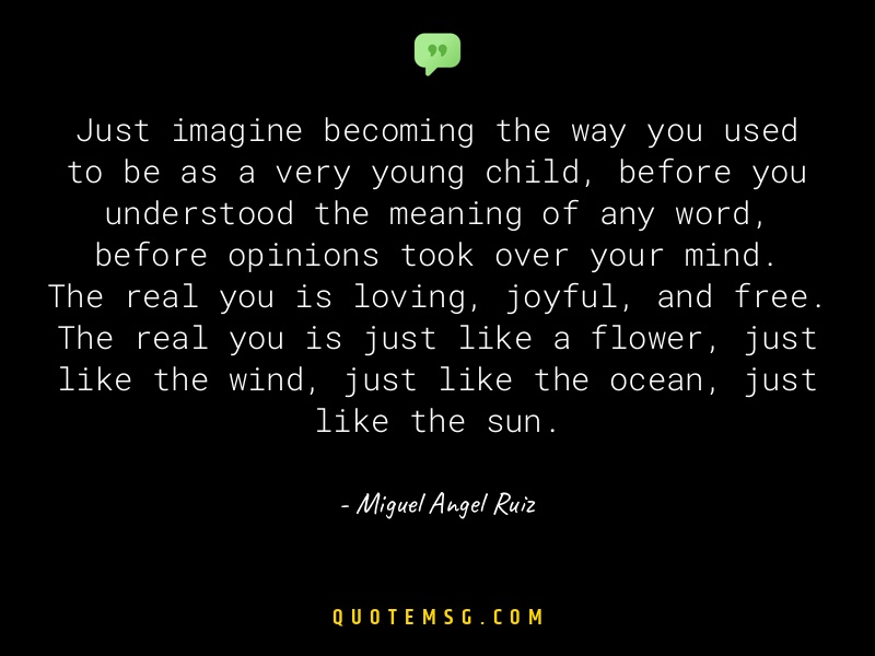 Image of Miguel Angel Ruiz