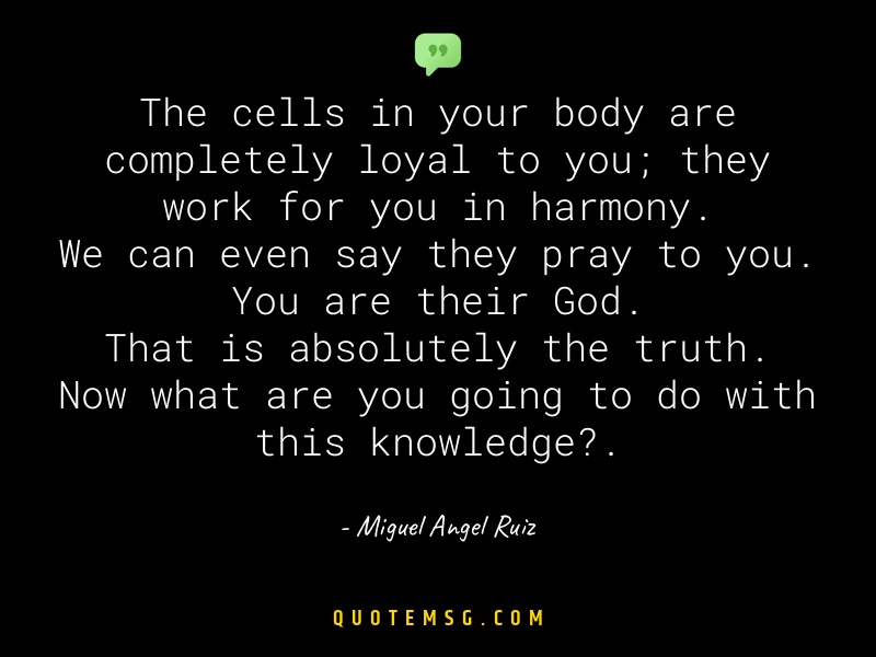 Image of Miguel Angel Ruiz